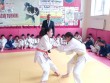 Masallıda uşaqlar cüdo turnirində bir araya gəldilər